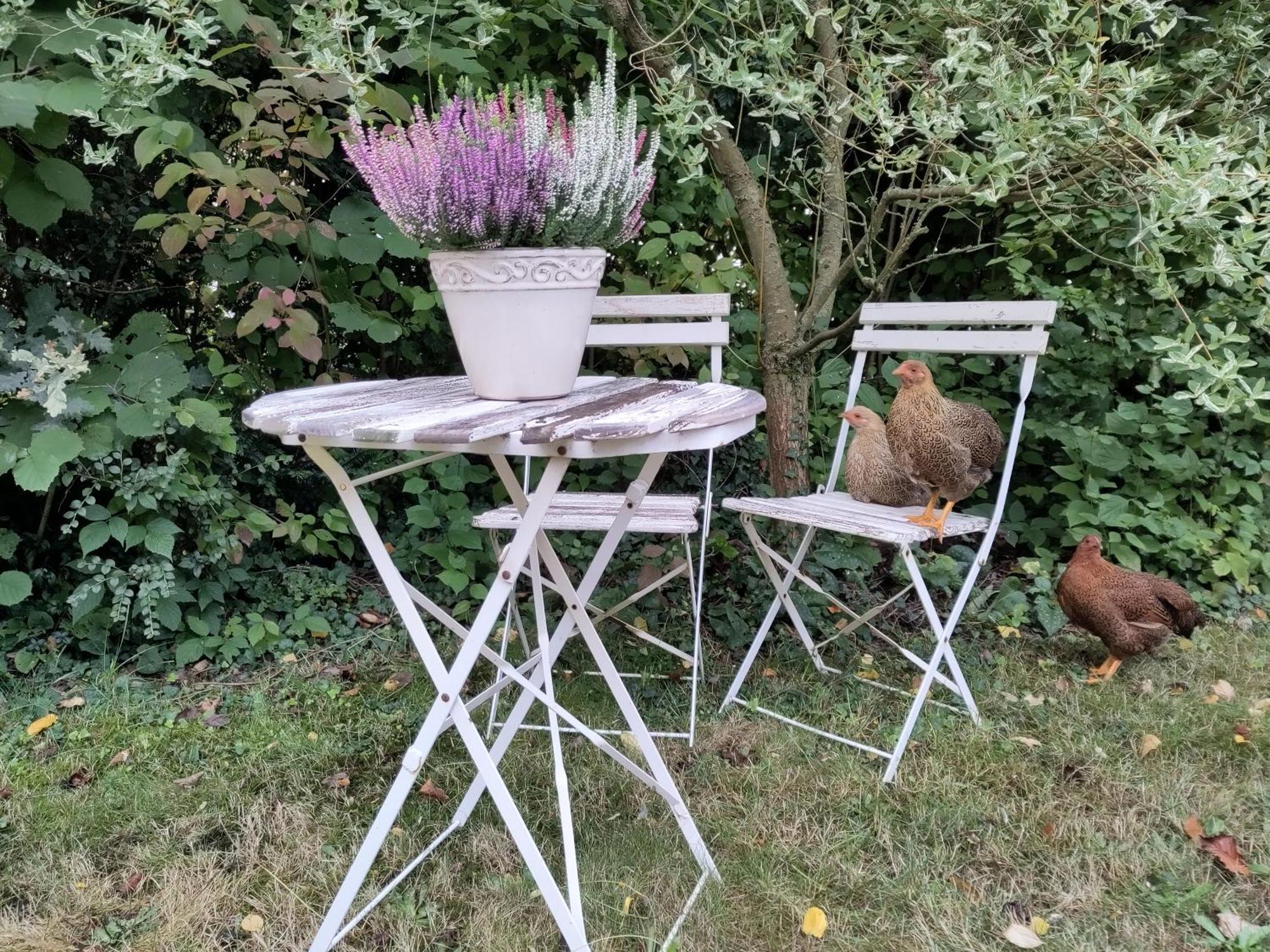 Ruhige Ferienwohnung „Suedhang“ Direkt Am Wald Bad Arolsen Exterior foto